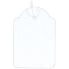 LABEL,Tie-On Pillow Pack 36x53mm 100's