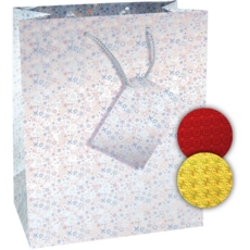 GIFT BAG,Holographic (Medium)