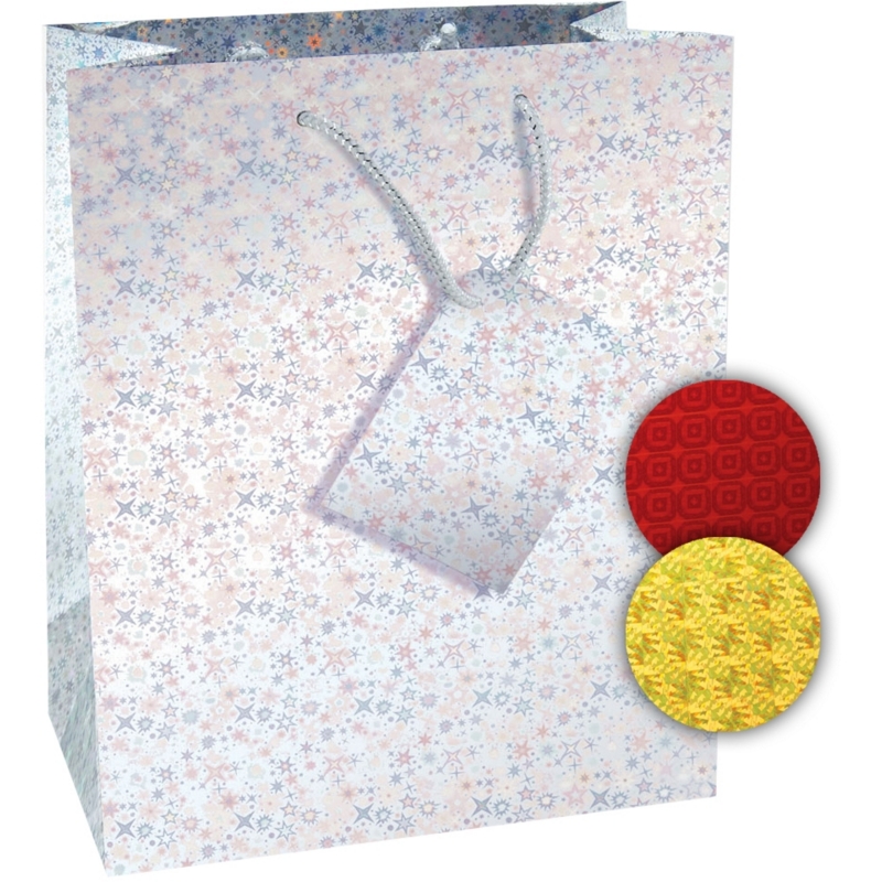 GIFT BAG,Holographic (Medium)