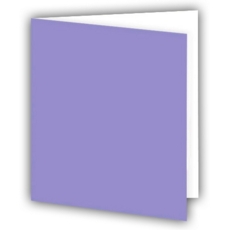 GIFT TAGS,Plain Lilac Pastel 12's