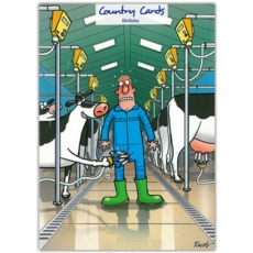 HUMOUR CARDS, 6's Revenge of the Cow