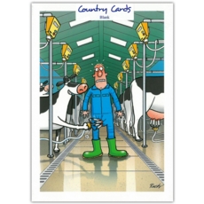 HUMOUR CARDS,Blank 6's Revenge of the Cow