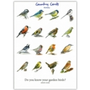 GREETING CARDS,Birthday 6's Garden Birds