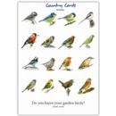 BIRTHDAY CARDS,6's Garden Birds