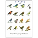 GREETING CARDS,Blank 6's Garden Birds