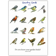 GREETING CARDS,Blank 6's Garden Birds