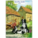 GREETING CARDS,Birthday 6's Farmyard Collies