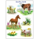 GREETING CARDS,Birthday 6's Baby Farm Animals