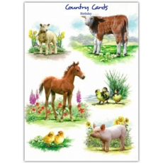 BIRTHDAY CARDS,6's Baby Farm Animals