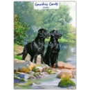 GREETING CARDS,Birthday 6's Black Labradors by the River