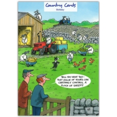 HUMOUR CARDS, 6's Controlling Sheepdog