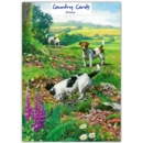 GREETING CARDS,Birthday 6's Jack Russells Burrowing