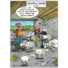 BIRTHDAY CARDS,Humour 6's Sheep Shearing