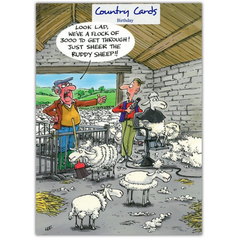 BIRTHDAY CARDS,Humour 6