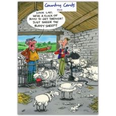 BLANK CARDS,Humour 6's Sheep Shearing