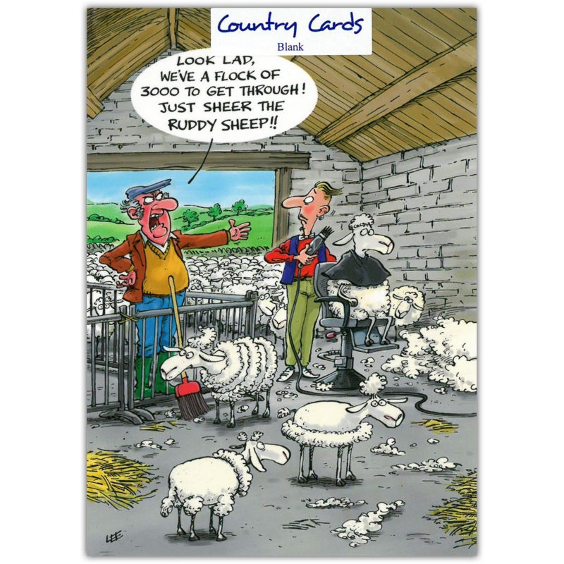 BLANK CARDS,Humour 6