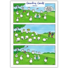 GREETING CARDS,Blank 6's Flock of Sheep