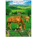 GREETING CARDS,Birthday 6's Horses in a Field
