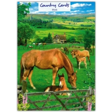 GREETING CARDS,Blank 6's Horses in a Field