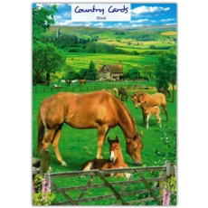 BLANK CARDS,6's Horses in a Field