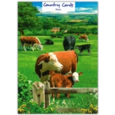 BLANK CARDS,6