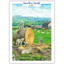 GREETING CARDS,Birthday 6's Lambs