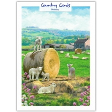 GREETING CARDS,Birthday 6's Lambs