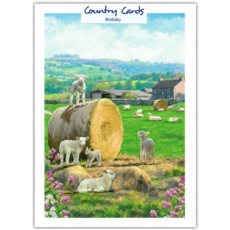 BIRTHDAY CARDS,6's Lambs
