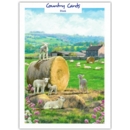 GREETING CARDS,Blank 6's Lambs
