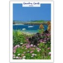GREETING CARDS,Birthday 6's Summer by the Coast