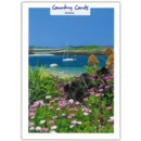 BIRTHDAY CARDS,6's Summer by the Coast