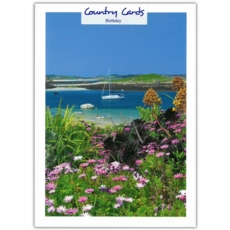 BIRTHDAY CARDS,6's Summer by the Coast