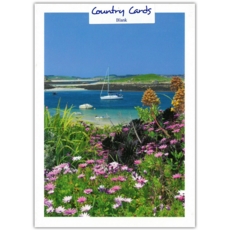 GREETING CARDS,Blank 6's Boats in a Cove