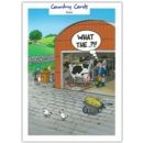 HUMOUR CARDS,Blank 6's What The ?!!