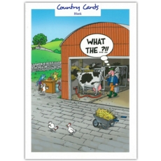BLANK CARDS,Humour 6's What The ?!!