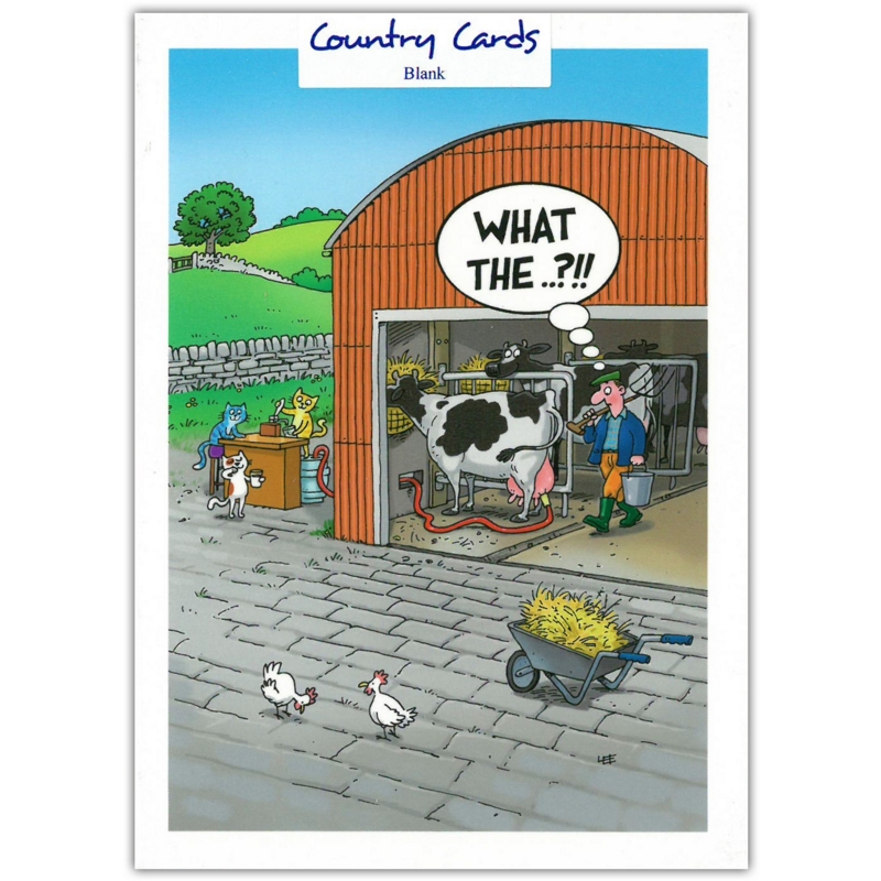 BLANK CARDS,Humour 6