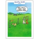 HUMOUR CARDS, 6's Wait for It!!