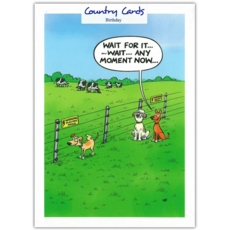 HUMOUR CARDS, 6's Wait for It!!