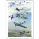 GREETING CARDS,Birthday 6's Spitfires