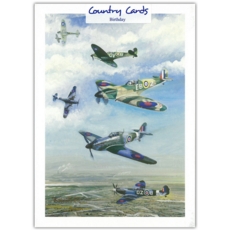 GREETING CARDS,Birthday 6's Spitfires