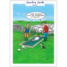 HUMOUR CARDS, 6's Sheep, Humour.