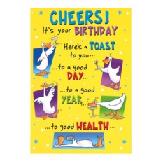 HUMOUR CARDS, 6's Humour Ducks