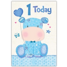AGE 1 CARDS, 6's Male Hippo