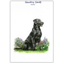 GREETING CARDS,Birthday 6's Black Labrador