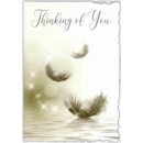 GREETING CARDS,Thinking of You 6's Feathers