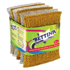 SCOURING WIZARDS 5pc Silver & Gold Asst.      B3935