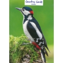 GREETING CARDS,Birthday Great Spotted Woodpecker 6's
