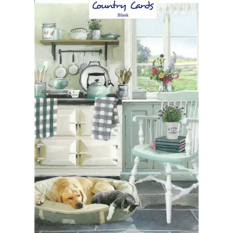 BLANK CARDS,6