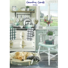 BIRTHDAY CARDS,6's Kitchen Aga
