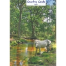 GREETING CARDS,Blank Pony at Ober Water  6's